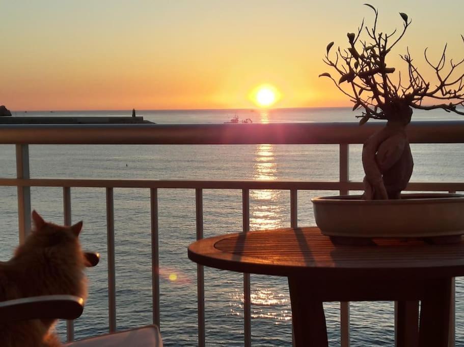 Ferienwohnung La Casa Del Port Jávea Exterior foto